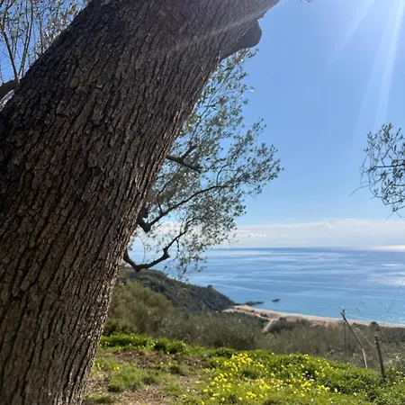 Terra Mia Cilento *